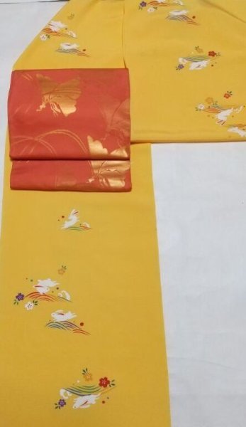 画像4: 袋帯   朱地  群蝶   本袋全通  織悦製 (4)