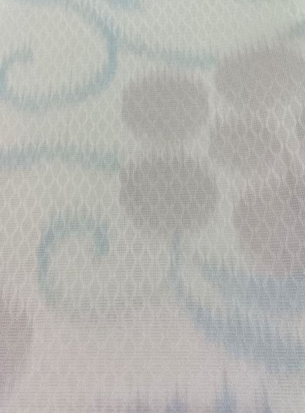 画像9: 袋帯　変り織経絣　笹蔓文 (9)